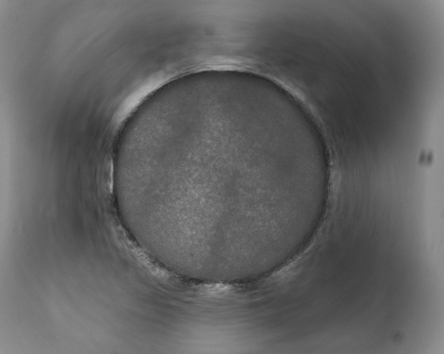 X0000111441317200907271120