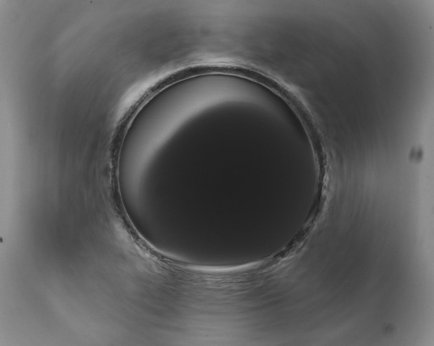 X0000111441319200907271120