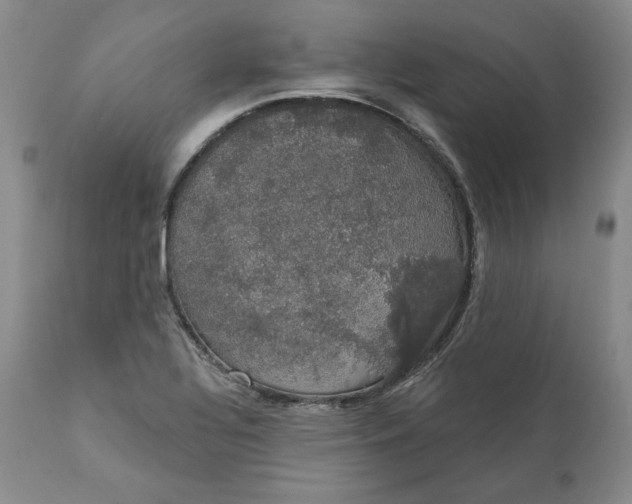 X0000111441320200907271120