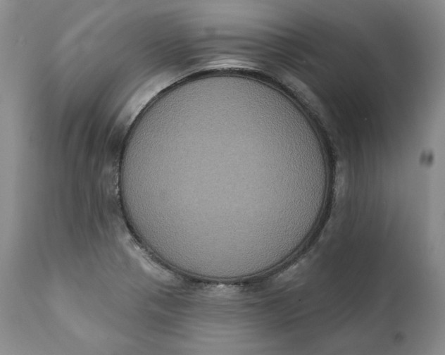 X0000111441321200907271120