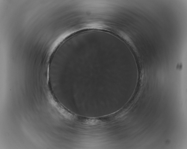 X0000111441323200907271120