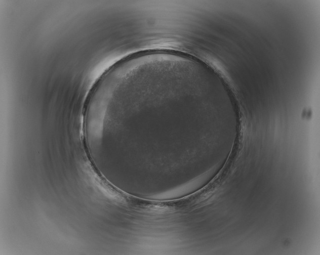 X0000111441324200907271120