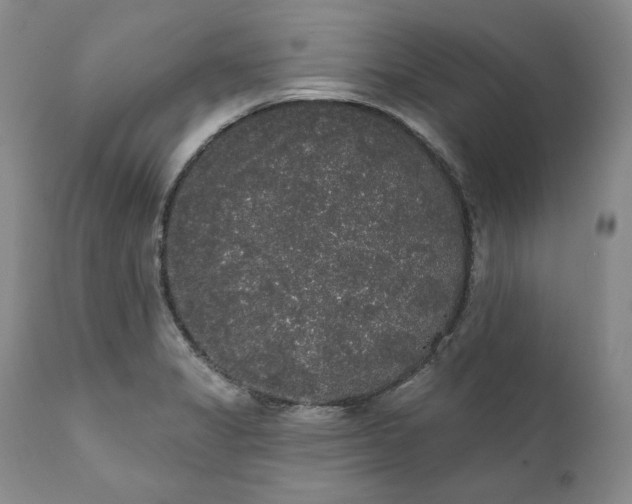 X0000111441325200907271120