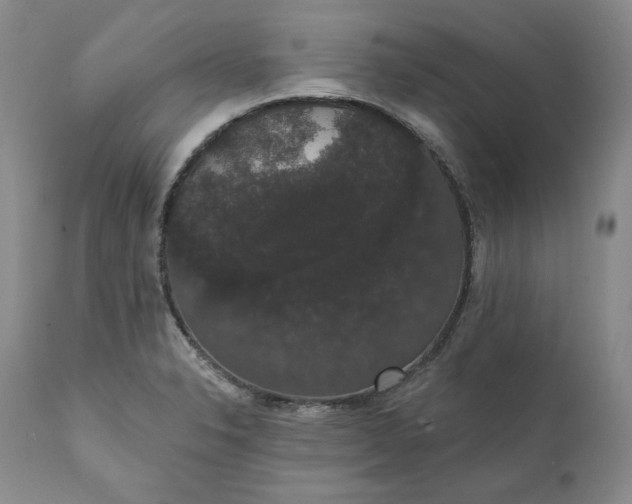 X0000111441326200907271120