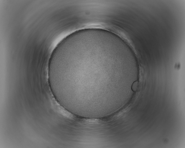 X0000111441328200907271120