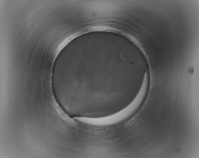 X0000111441330200907271120