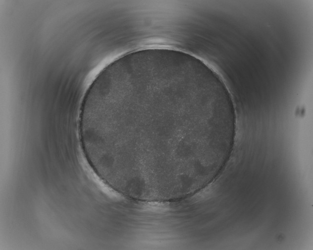 X0000111441333200907271120