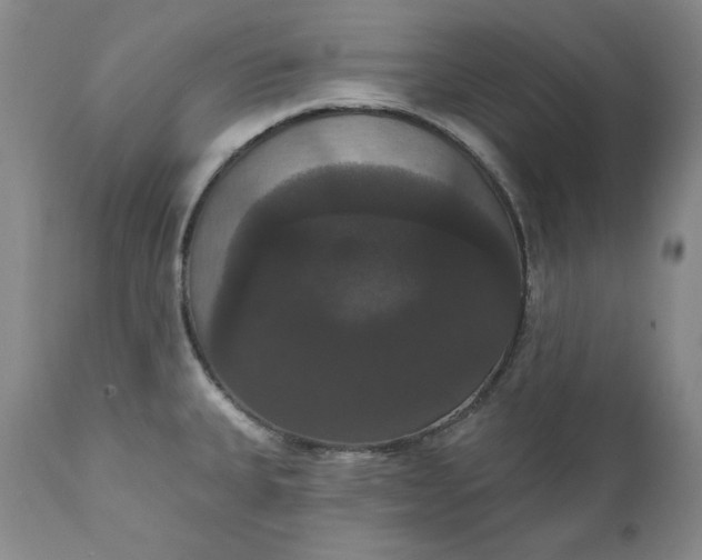 X0000111441335200907271120