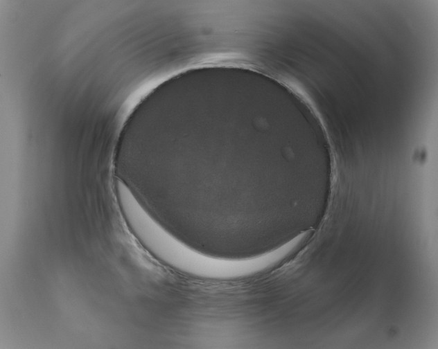 X0000111441336200907271120