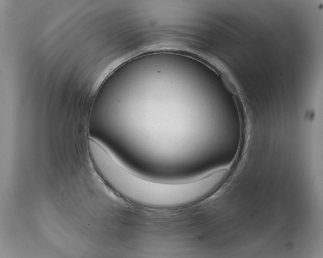 X0000111441337200907271120