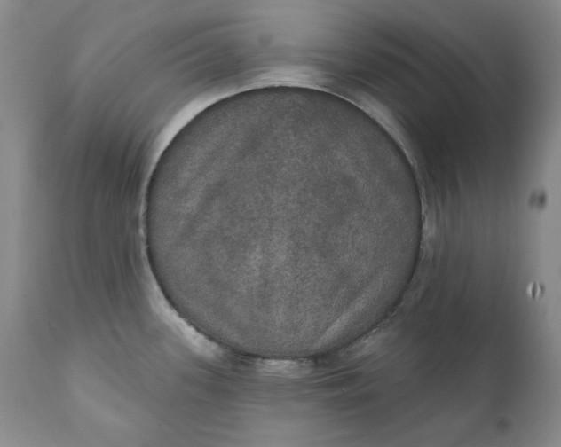 X0000111441339200907271120