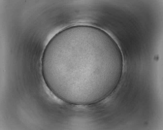 X0000111441341200907271120