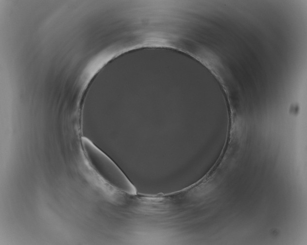 X0000111441342200907271120