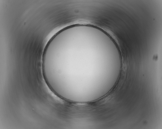 X0000111441343200907271120