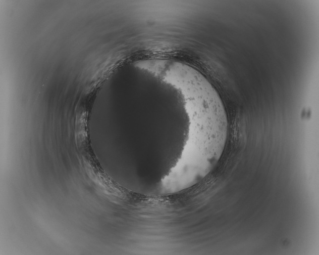 X0000111441346200907271120