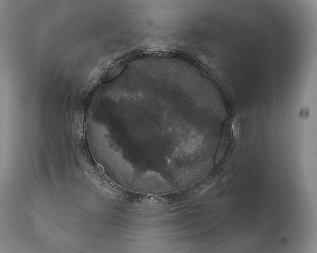 X0000111441348200907271120