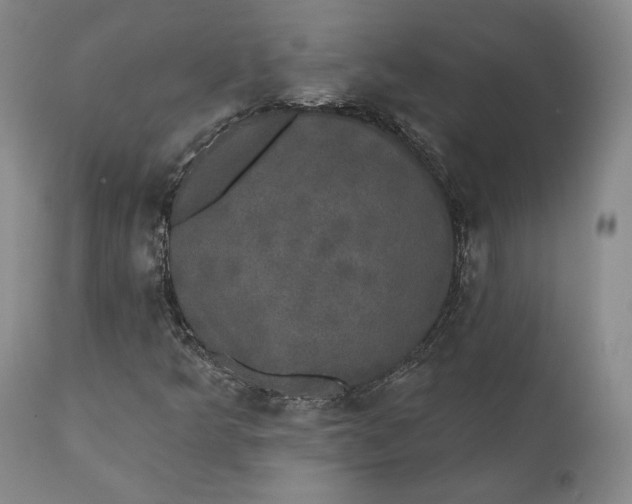 X0000111441349200907271120