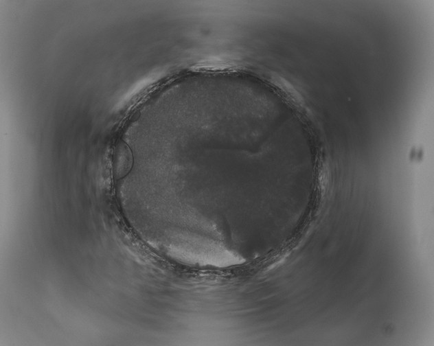 X0000111441350200907271120