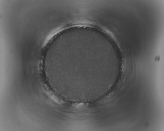 X0000111441352200907271120