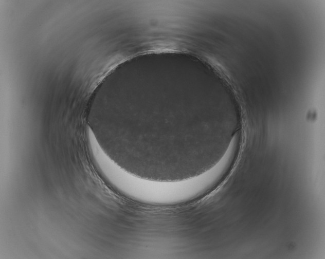 X0000111441353200907271120