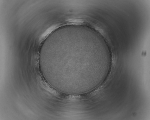 X0000111441354200907271120