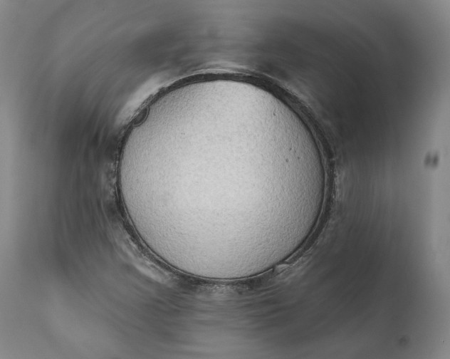 X0000111441355200907271120