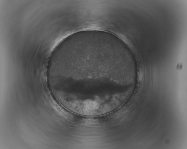 X0000111441356200907271119