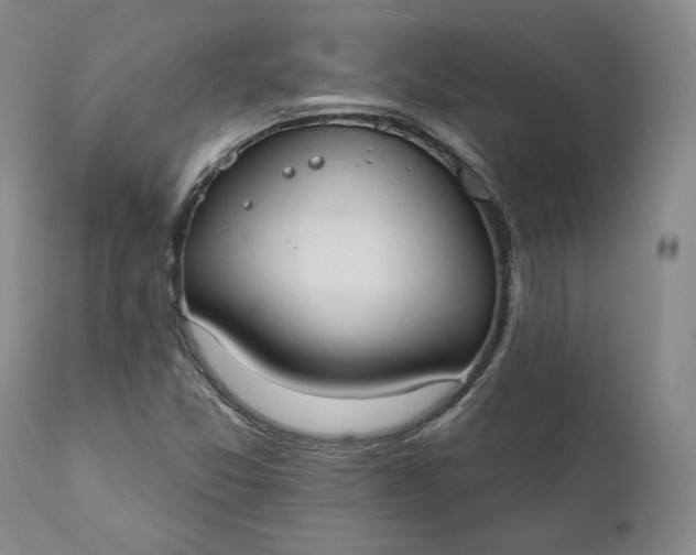 X0000111441357200907271119