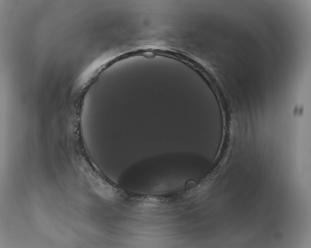 X0000111441359200907271119