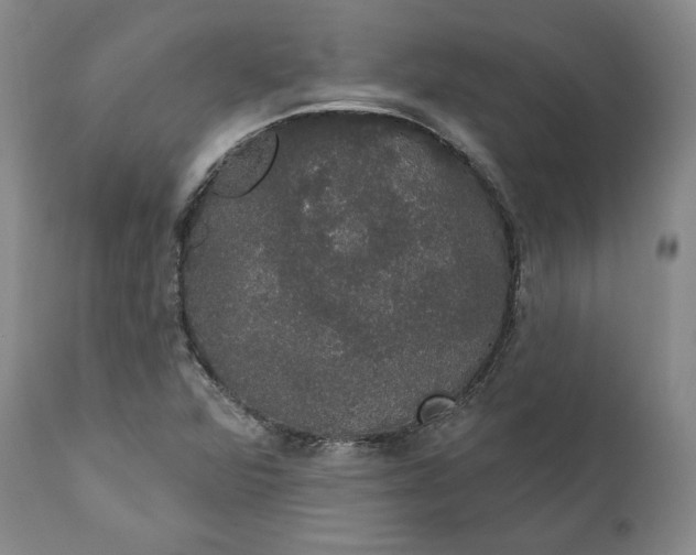 X0000111441360200907271119