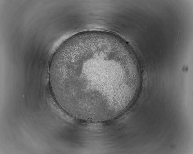 X0000111441363200907271119