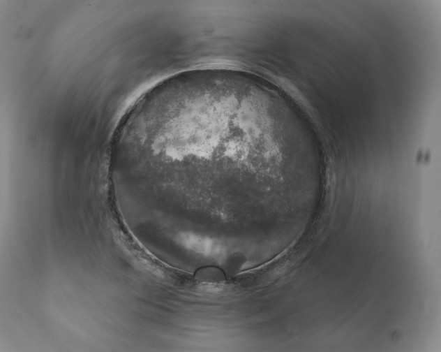 X0000111441364200907271119