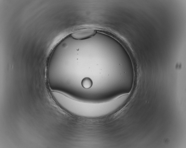 X0000111441365200907271119