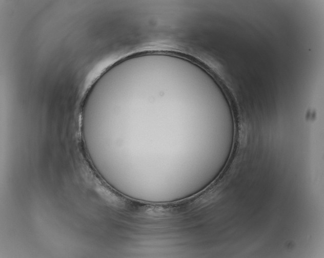 X0000111441366200907271119