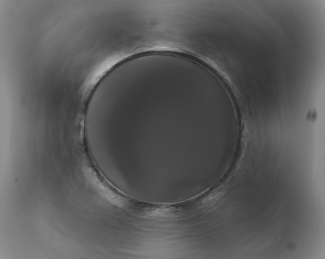 X0000111441367200907271119