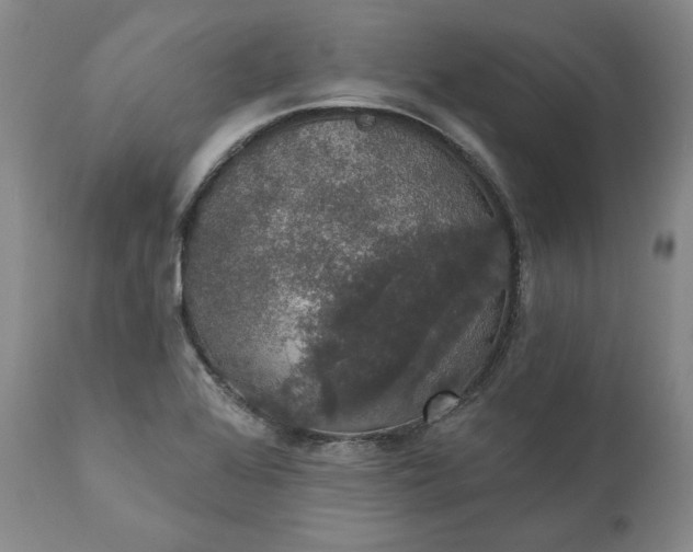 X0000111441368200907271119