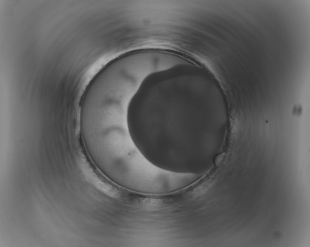 X0000111441371200907271119