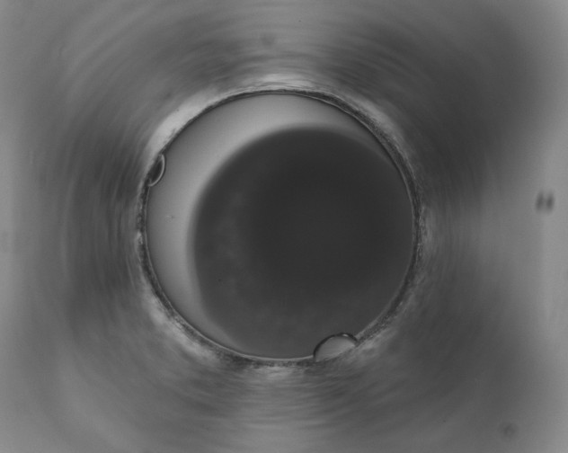 X0000111441373200907271119