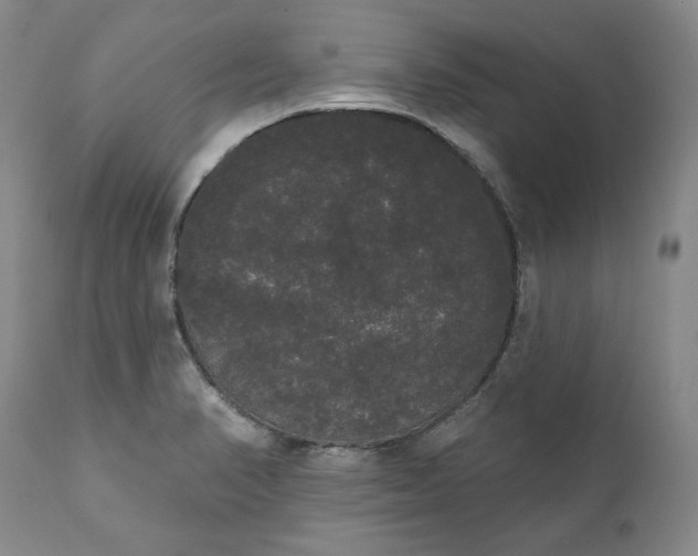 X0000111441374200907271119