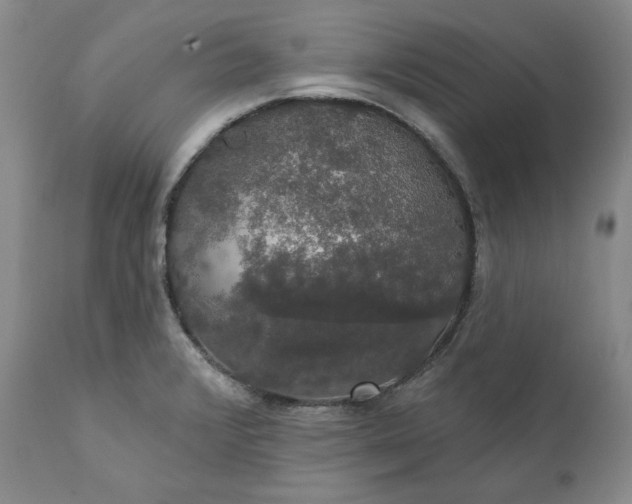 X0000111441376200907271119