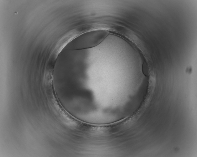 X0000111441377200907271119