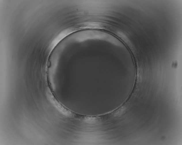 X0000111441378200907271119