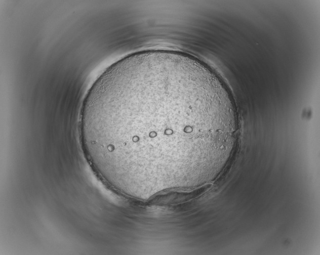 X0000111441379200907271119