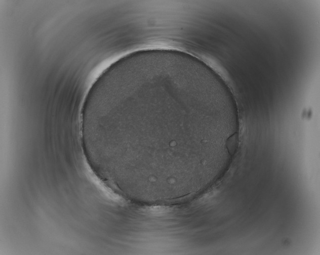 X0000111441380200907271119