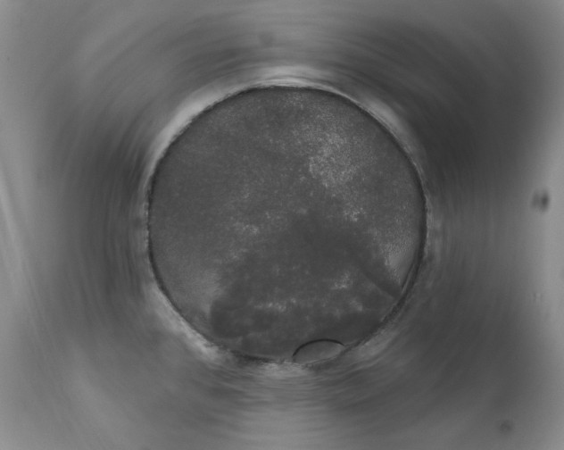 X0000111441384200907271119