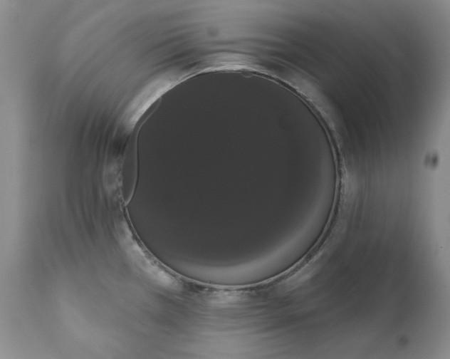 X0000111441385200907271119