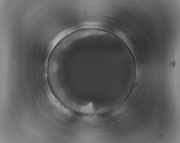 X0000111441386200907271119