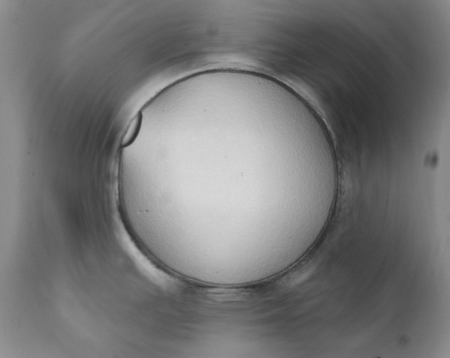 X0000111441391200907271119