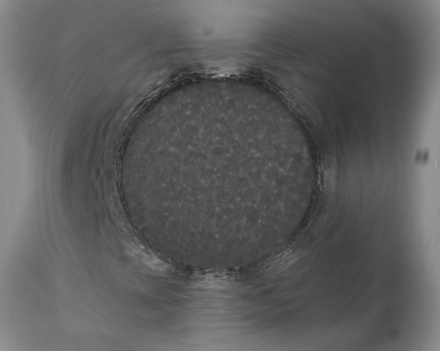 X0000111441393200907271118