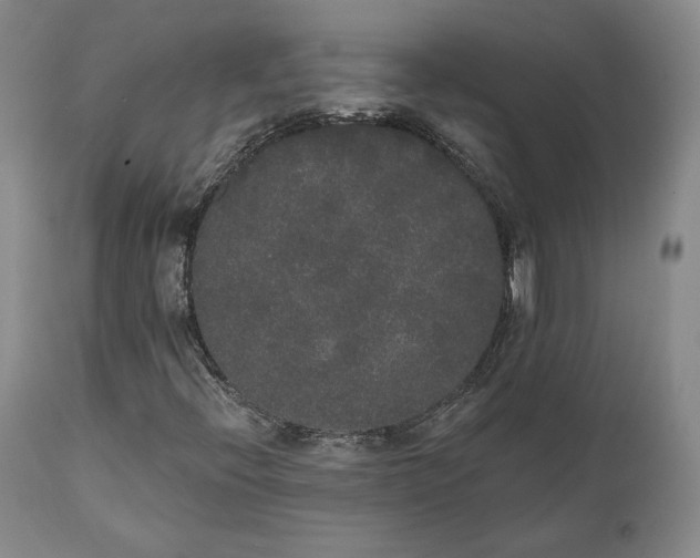 X0000111441396200907271118